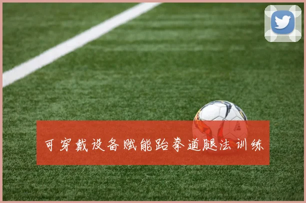 可穿戴设备赋能跆拳道腿法训练