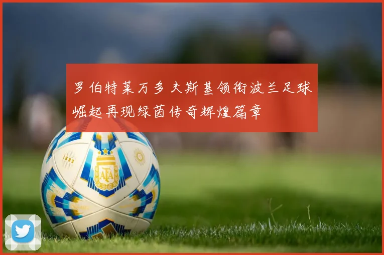 罗伯特莱万多夫斯基领衔波兰足球崛起再现绿茵传奇辉煌篇章